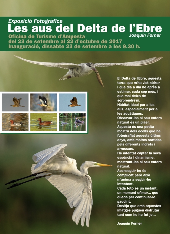 Exposici� fotogr�fica �Les aus del Delta de l�Ebre�, de Joaqu�n Forner