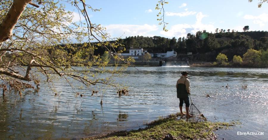 Aquest divendres es presenta el llibre «MigratoEbre. Per un riu ple de vida» | EbreActiu.cat, revista digital d’oci actiu | Terres de l’Ebre ... Aquest divendres es presenta el llibre «MigratoEbre. Per un riu ple de vida» | EbreActiu.cat, revista digital d’oci actiu | Terres de l’Ebre ...