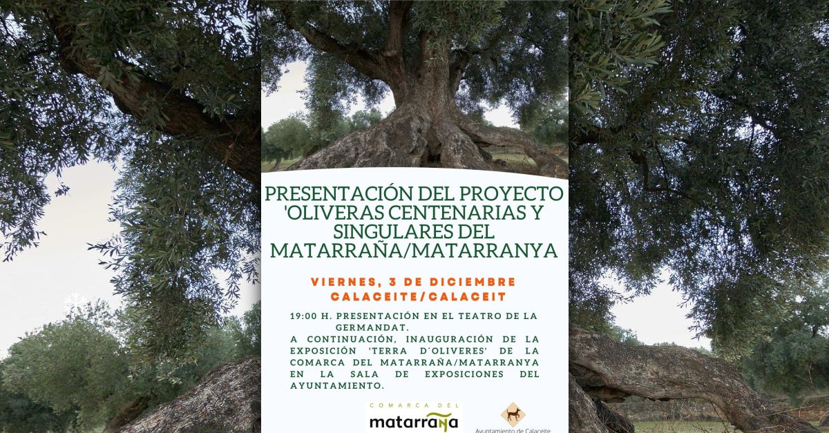 Presentaci� del projecte �Oliveres centen�ries i singulars del Matarranya�