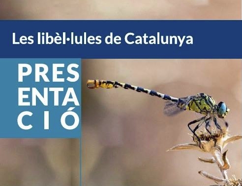 Presentació de la publicació «Les libèl·lules de Catalunya» Presentació de la publicació «Les libèl·lules de Catalunya»