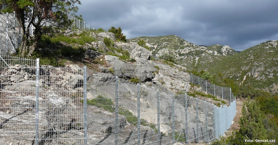 Les pintures rupestres descobertes a Mas de Barberans tenen m�s de 8.000 anys  | EbreActiu.cat, revista digital d&rsquo;oci actiu | Terres de l&rsquo;Ebre ...