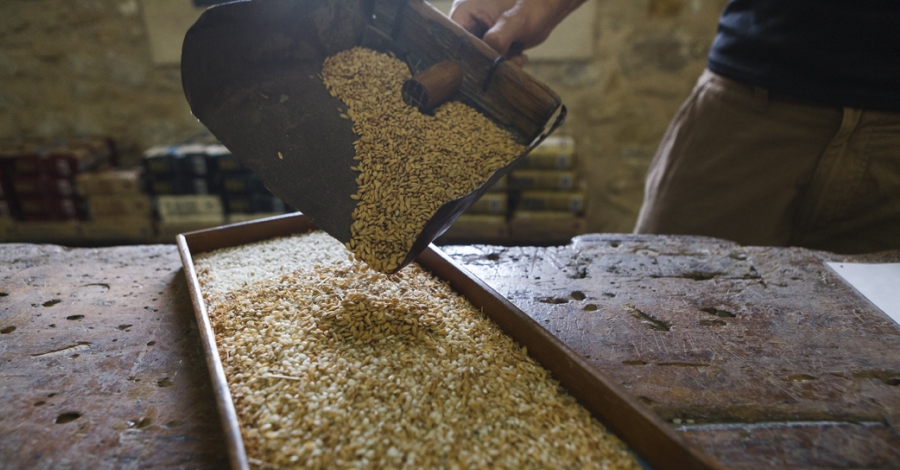 Torna Benvinguts a Pags | EbreActiu.cat, revista digital d’oci actiu | Terres de l’Ebre ...