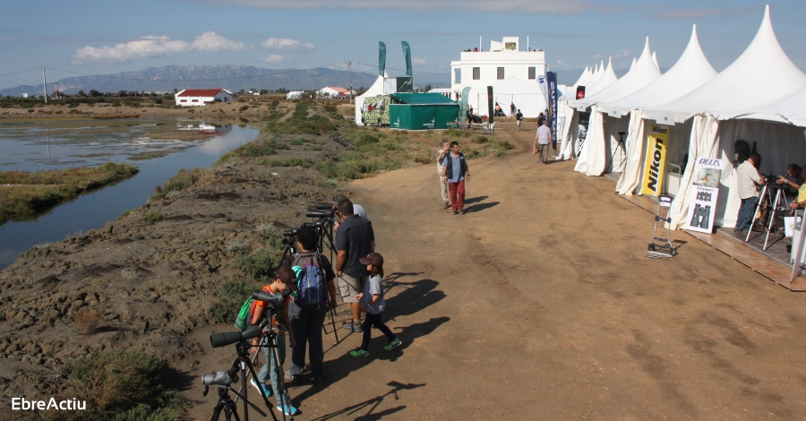 Delta Birding Festival, punt de trobada dels amants i estudiosos dels ocells | EbreActiu.cat, revista digital d&rsquo;oci actiu | Terres de l&rsquo;Ebre ...