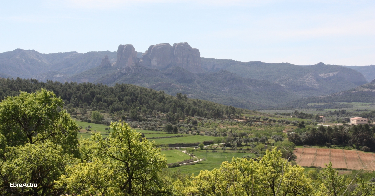 El sector turstic arrenca amb fora al Delta, a la Terra Alta i al Priorat