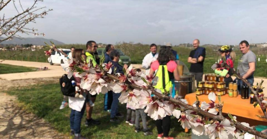 Primer cap de setmana de la campanya tur�stica de floraci� a la Ribera d&rsquo;Ebre | EbreActiu.cat, revista digital d&rsquo;oci actiu | Terres de l&rsquo;Ebre ...