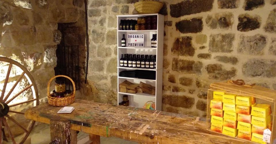 Un mol d’oli de la Terra Alta, el primer de Catalunya que opt el Distintiu de Garantia de Qualitat Ambiental | EbreActiu.cat, revista digital d’oci actiu | Terres de l’Ebre ...