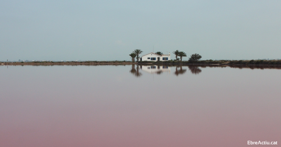 Mou-te pel Delta, primera Festa de l’Ecoturisme al Delta de l’Ebre | EbreActiu.cat, revista digital d’oci actiu | Terres de l’Ebre ...