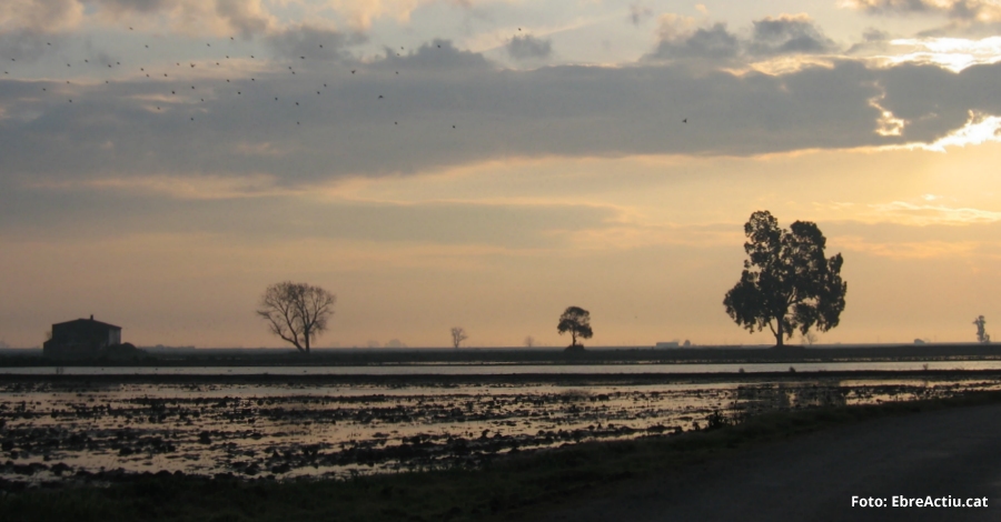 Primera irrupció freda de la temporada | EbreActiu.cat, revista digital d’oci actiu | Terres de l’Ebre ... Primera irrupció freda de la temporada | EbreActiu.cat, revista digital d’oci actiu | Terres de l’Ebre ...