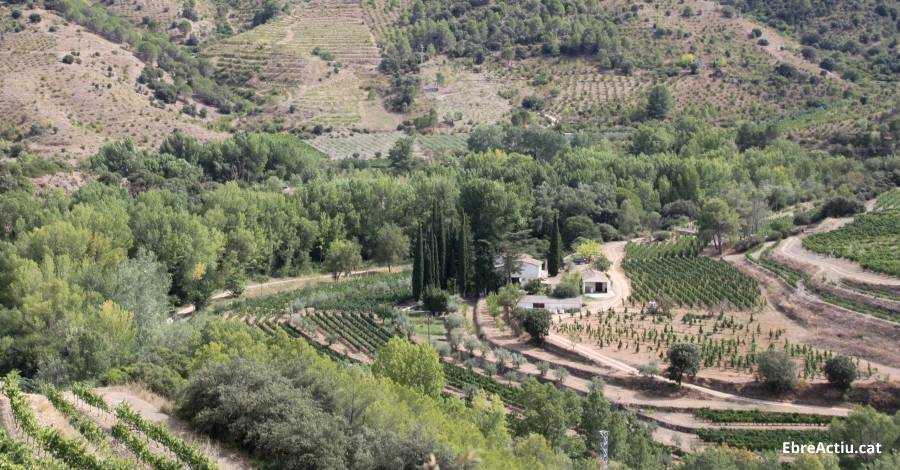 El Priorat acollir� el Simposi internacional �Paisatge, Agricultura i Dona� els dies 9 i 10 de maig | EbreActiu.cat, revista digital d&rsquo;oci actiu | Terres de l&rsquo;Ebre ...