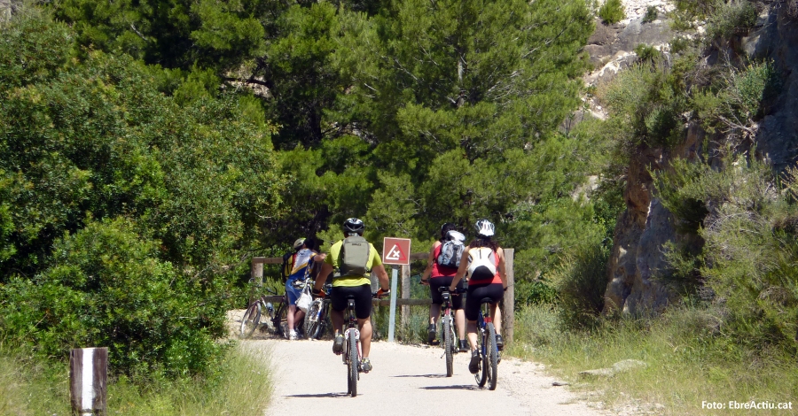Els parcs naturals de les Terres de l�Ebre programen m�s de 500 activitats educatives