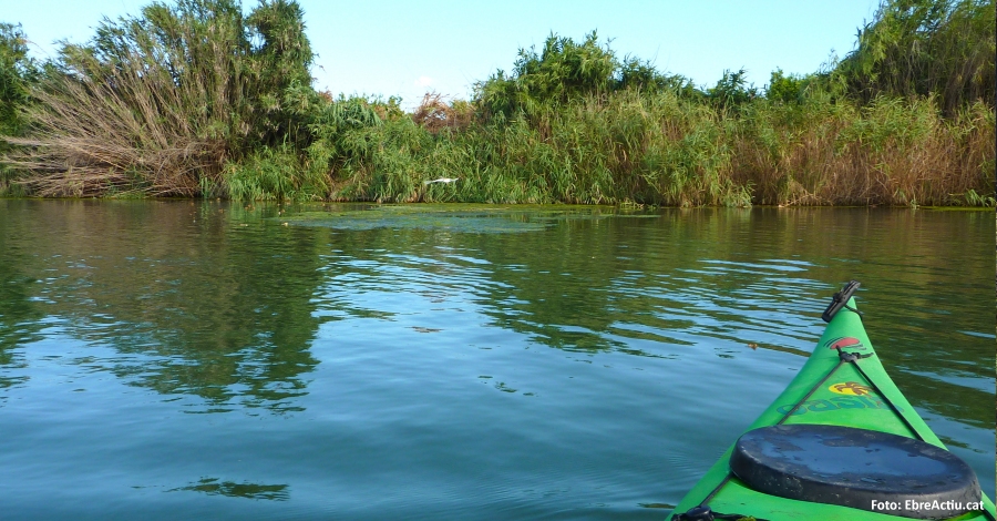 Els parcs naturals de les Terres de l&rsquo;Ebre programen m�s de 500 activitats educatives | EbreActiu.cat, revista digital d&rsquo;oci actiu | Terres de l&rsquo;Ebre ...
