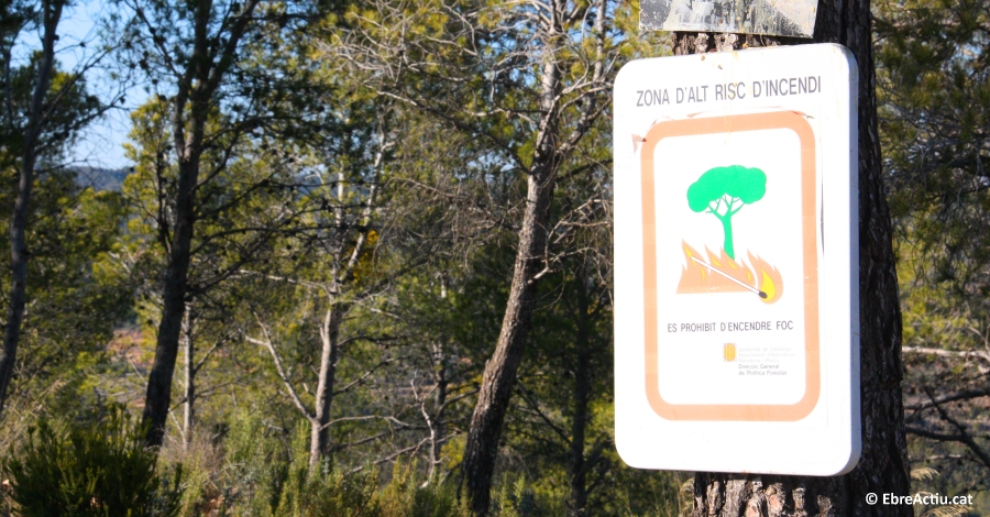 A partir d�avui, comen�a la prohibici� de fer foc al bosc 