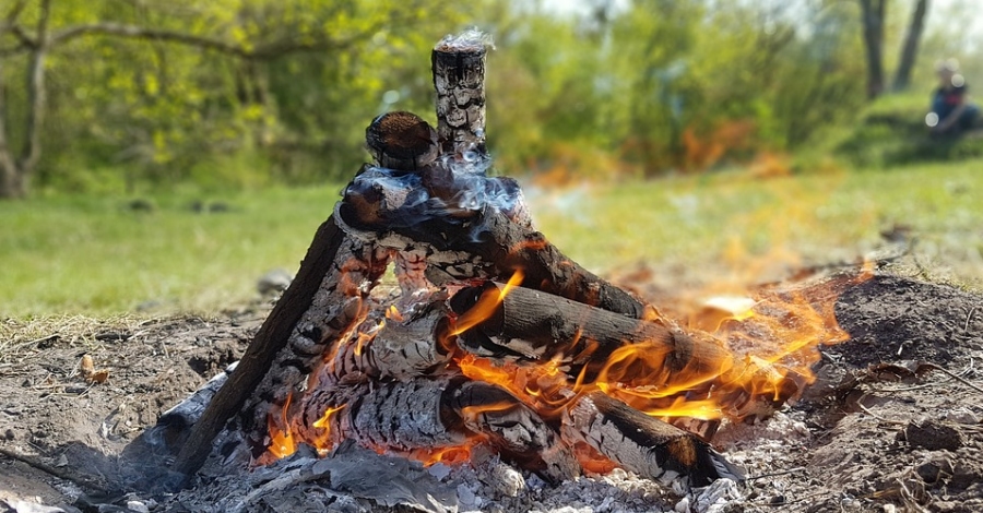 Comena la prohibici de fer foc al bosc