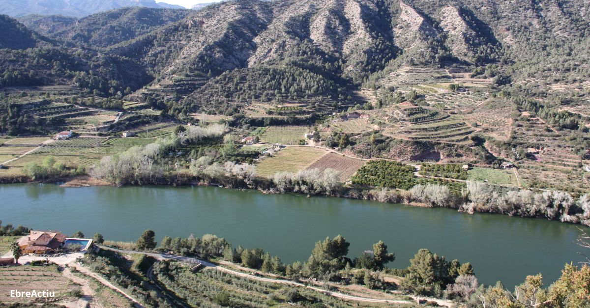 Sercosa busca el suport del territori per construir assuts i hidroelctriques al tram ebrenc del riu Ebre