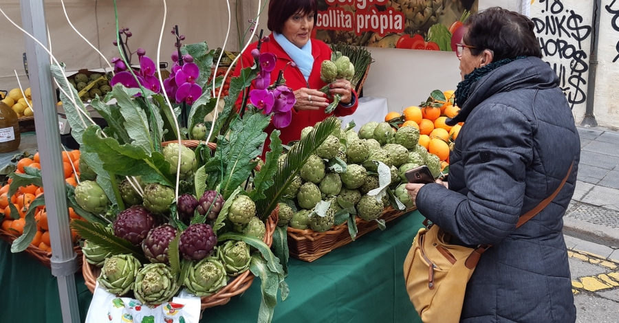 El primer F�rum Carxofa Innova Benicarl� arranca con una gran variedad de charlas | EbreActiu.cat, revista digital de ocio activo | Terres de l&rsquo;Ebre...