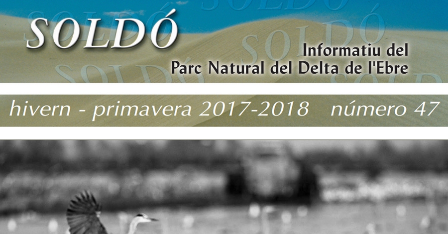 Publicat un nou nmero de Sold