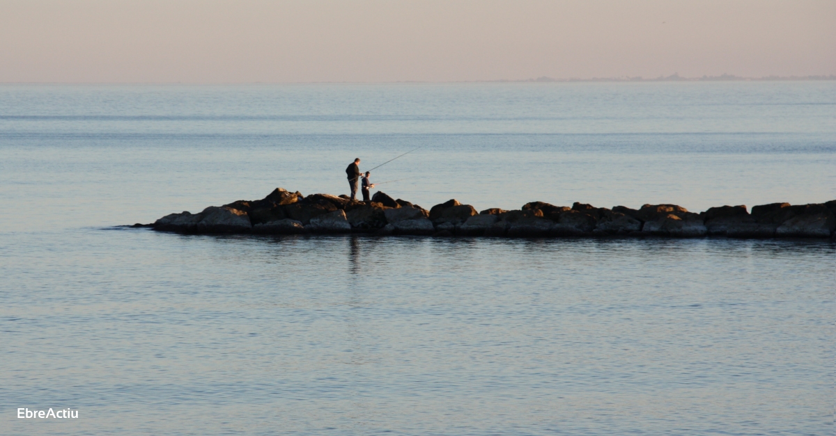 Ja est disponible una guia d’espcies de pesca recreativa per fomentar una prctica responsable | EbreActiu.cat, revista digital d’oci actiu | Terres de l’Ebre ...