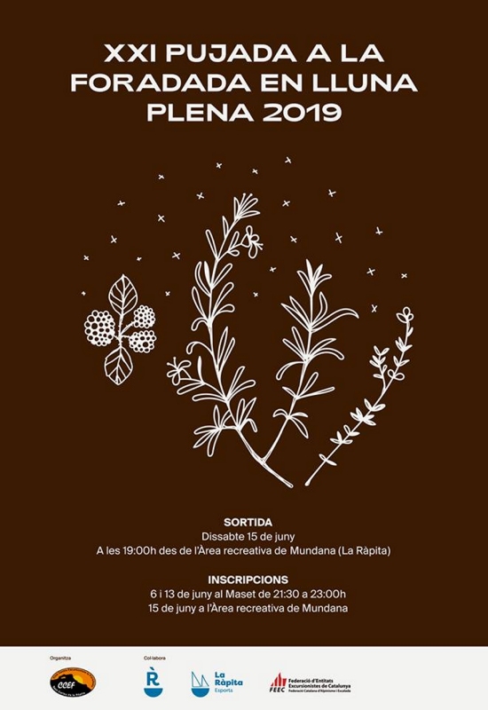 XXI Pujada a la Foradada en lluna plena 2019 XXI Pujada a la Foradada en lluna plena 2019