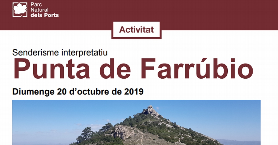 Fem treballar les cames per pujar a la punta de Farr�bio