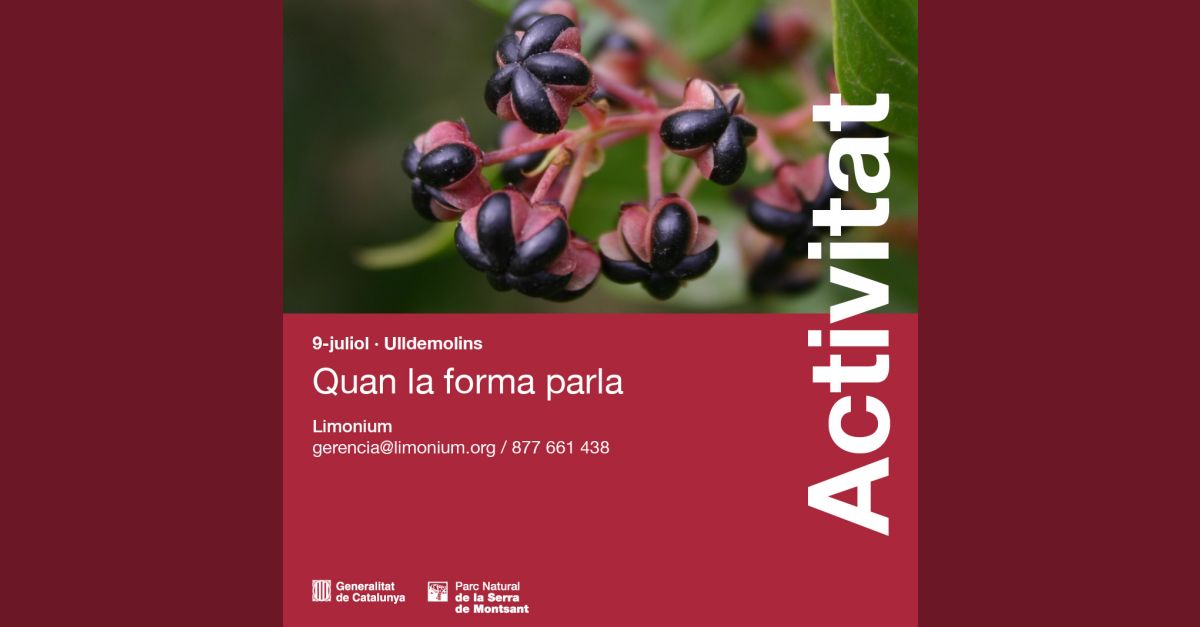 Senderisme interpretatiu: Quan la forma parla Senderisme interpretatiu: Quan la forma parla