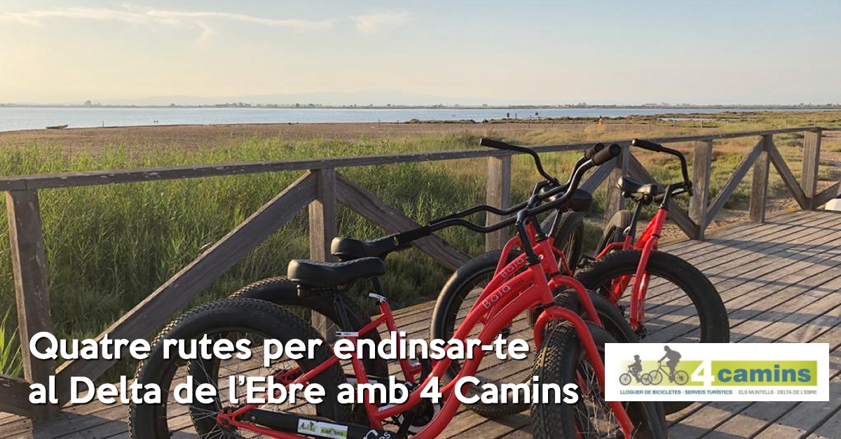 Quatre rutes per endinsar-te al Delta de l�Ebre amb 4 Camins
