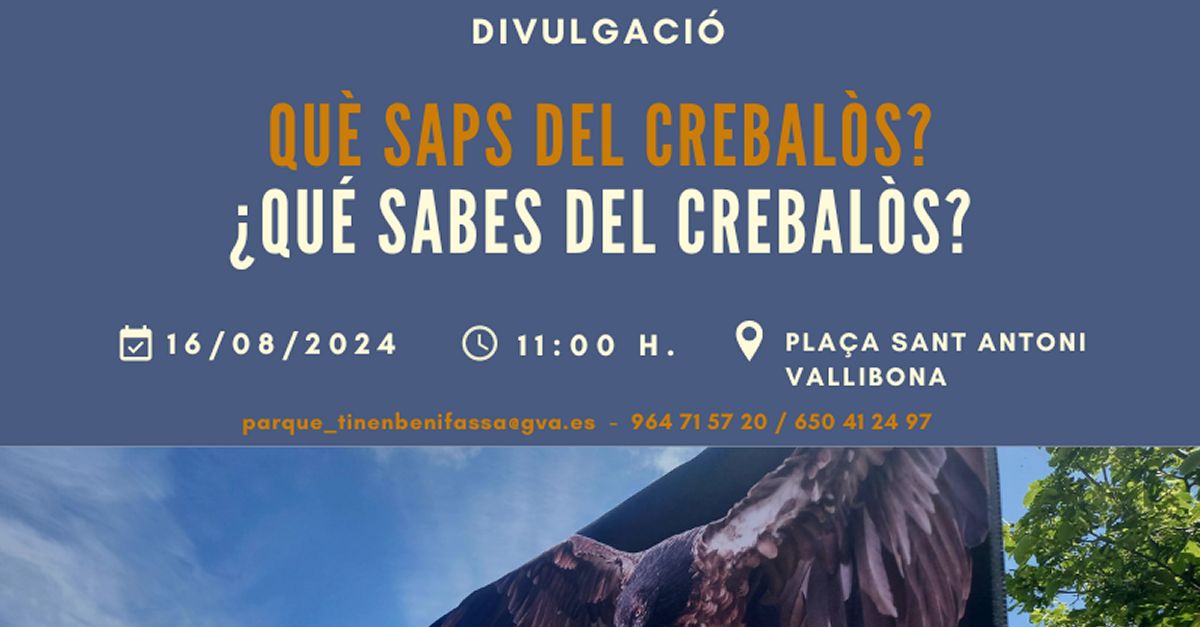 �Qu� sabes del crebal�s?