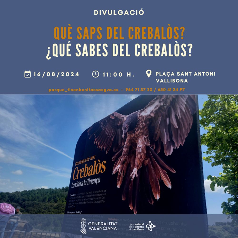 Qu� saps del Crebal�s?