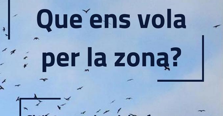 Xerrada: Qu� ens vola per la zona?