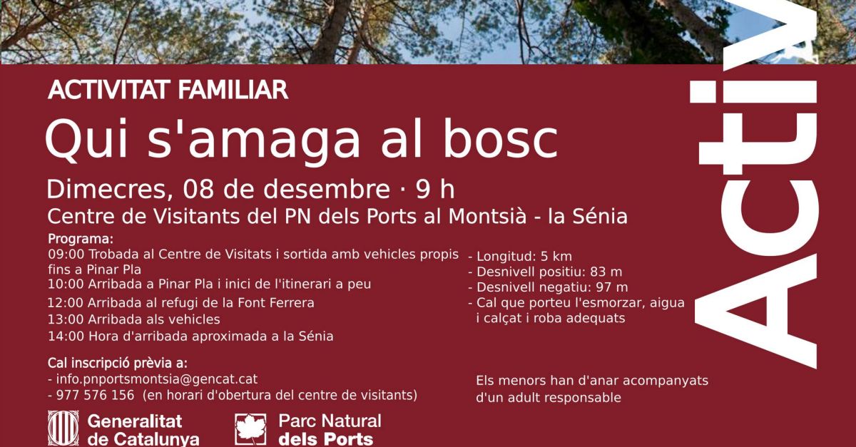 Activitat familiar: Qui s&rsquo;amaga al bosc?
