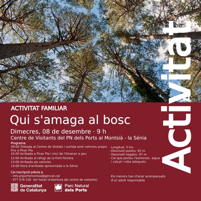 Activitat familiar: Qui s&rsquo;amaga al bosc?
