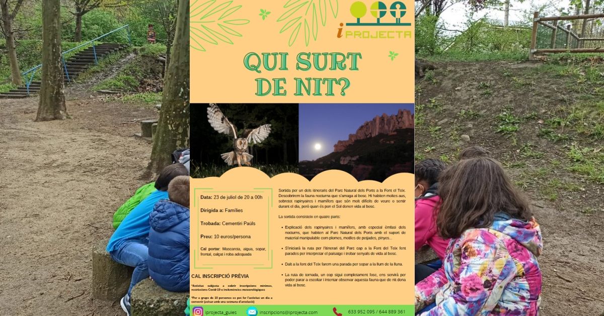 Activitat d�educaci� ambiental: Qui surt de nit?