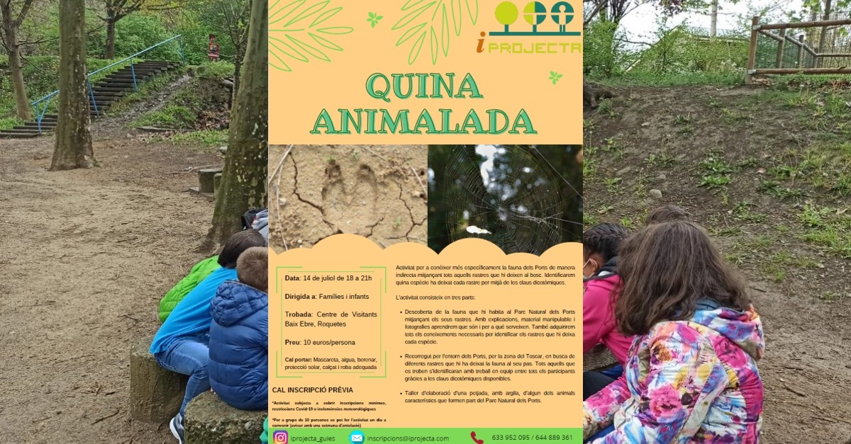 Actividad de educaci�n ambiental: Quina animalada