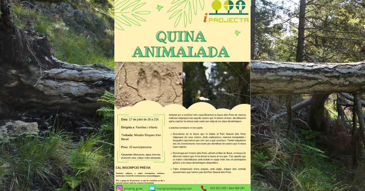 Activitat d’educació ambiental: Quina animalada Activitat d’educació ambiental: Quina animalada