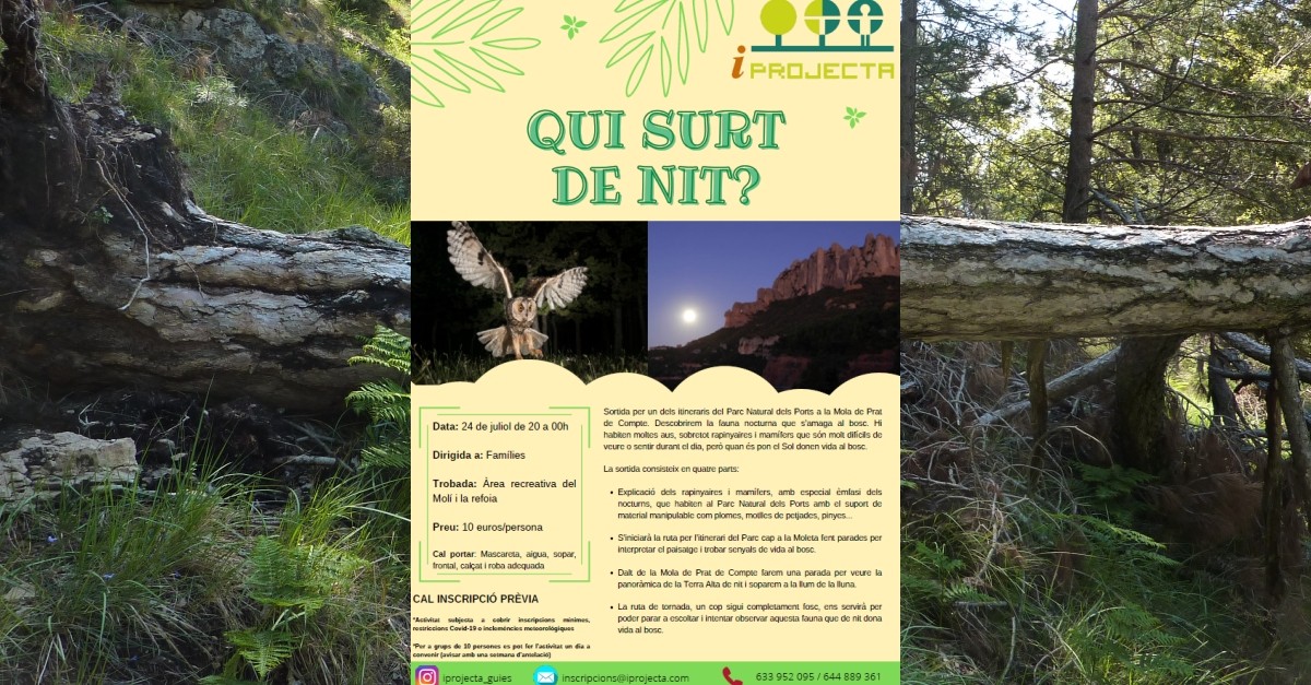 Actividad de educaci�n ambiental: Qui surt de nit?