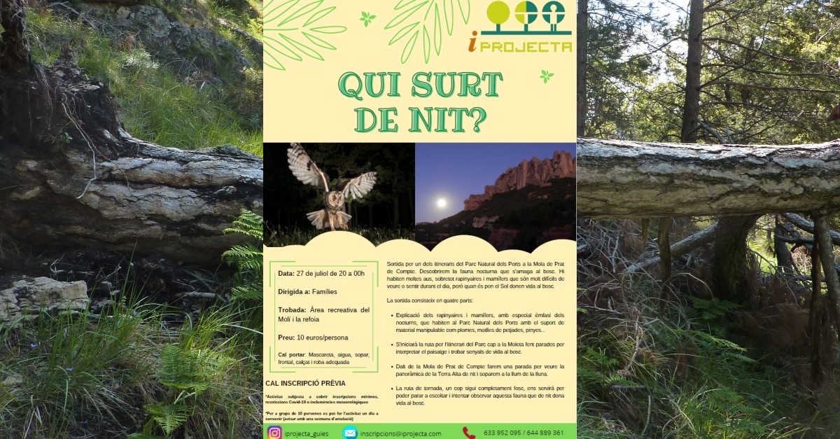 Actividad de educaci�n ambiental: Qui surt de nit?