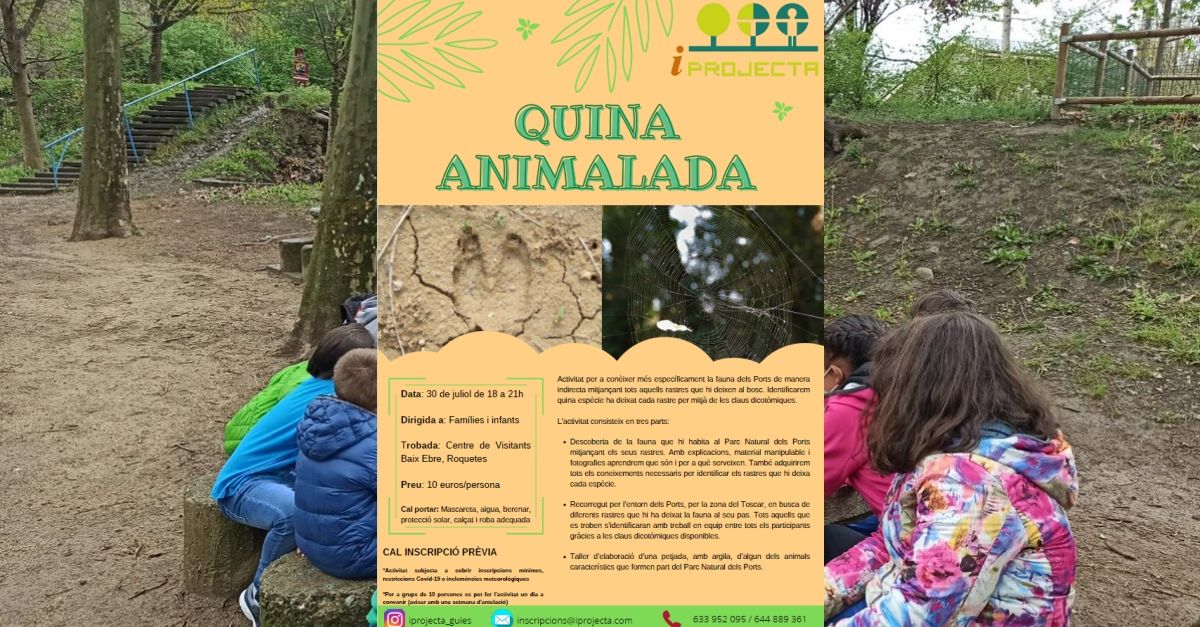 Activitat d’educació ambiental: Quina animalada Activitat d’educació ambiental: Quina animalada