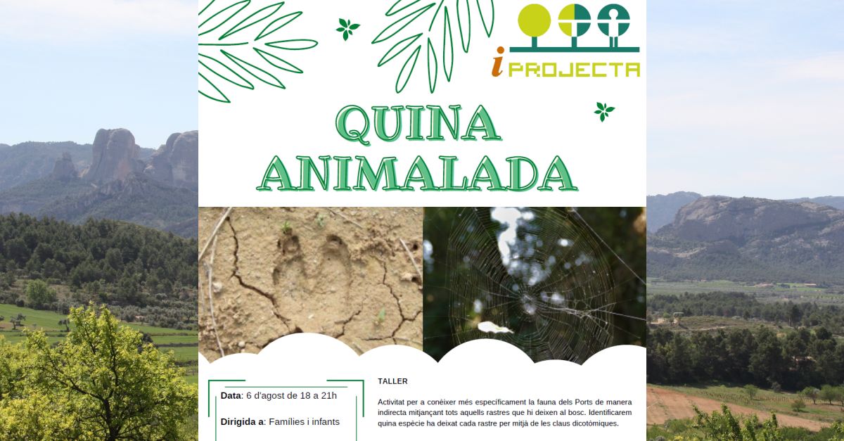 Activitat d�educaci� ambiental: Quina animalada (taller)