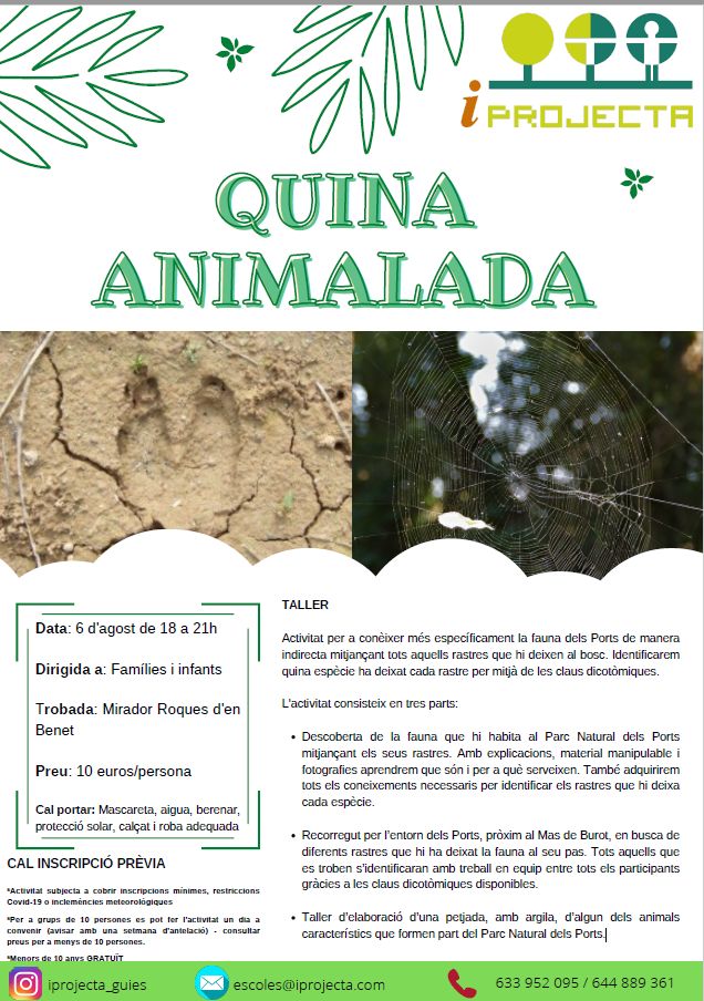 Activitat d’educació ambiental: Quina animalada (taller) Activitat d’educació ambiental: Quina animalada (taller)
