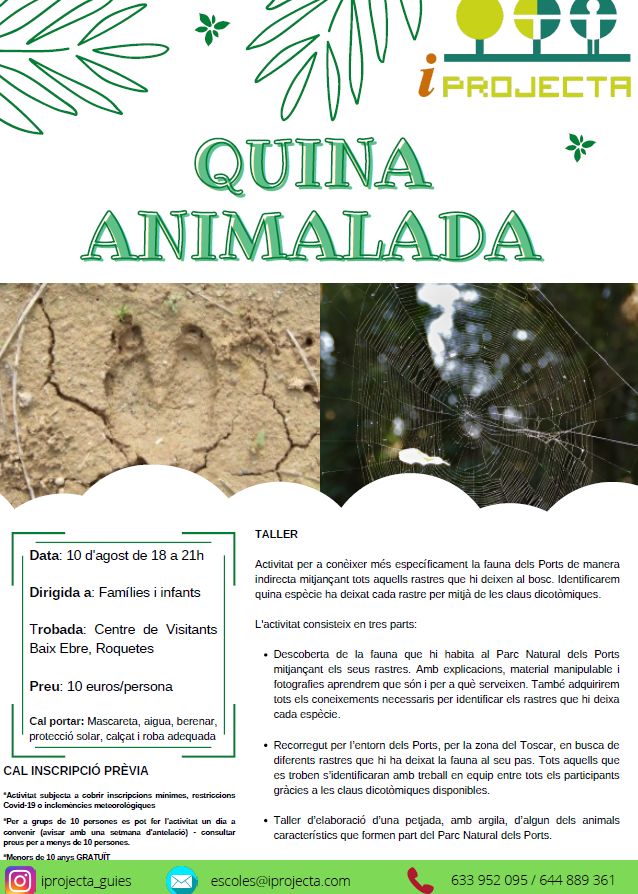Activitat d’educació ambiental: Quina animalada (taller) Activitat d’educació ambiental: Quina animalada (taller)