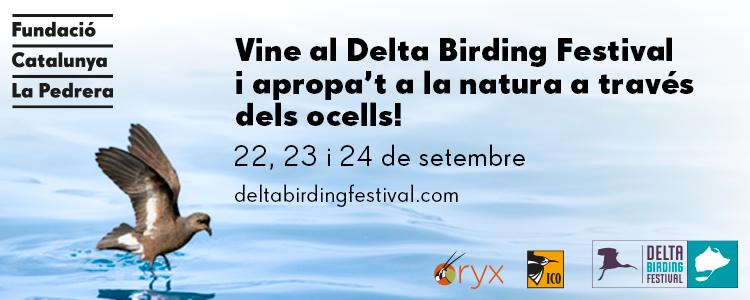 Vine al Delta Birding Festival i apropat a la natura a travs dels ocells