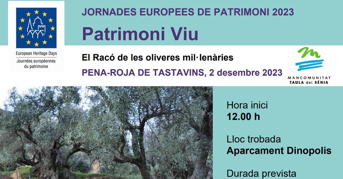 JEP2023 El Rinc�n de los olivos milenarios