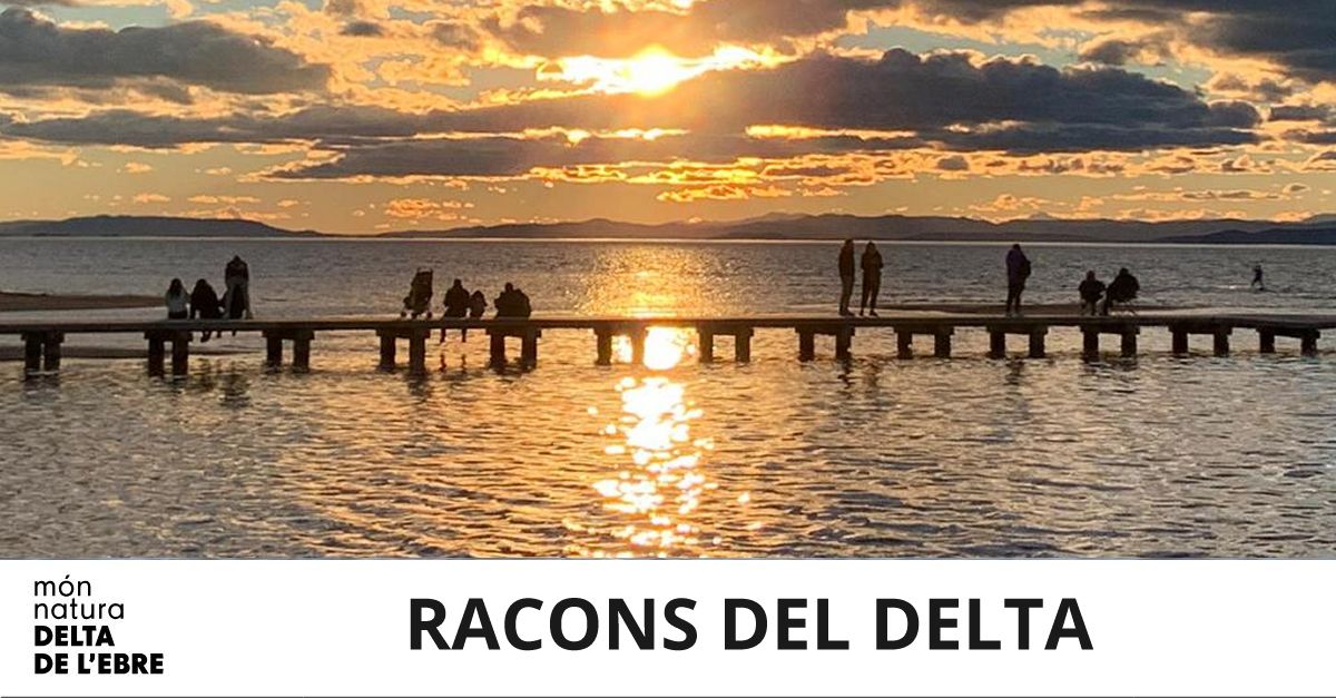 MonNatura Delta: Racons del Delta