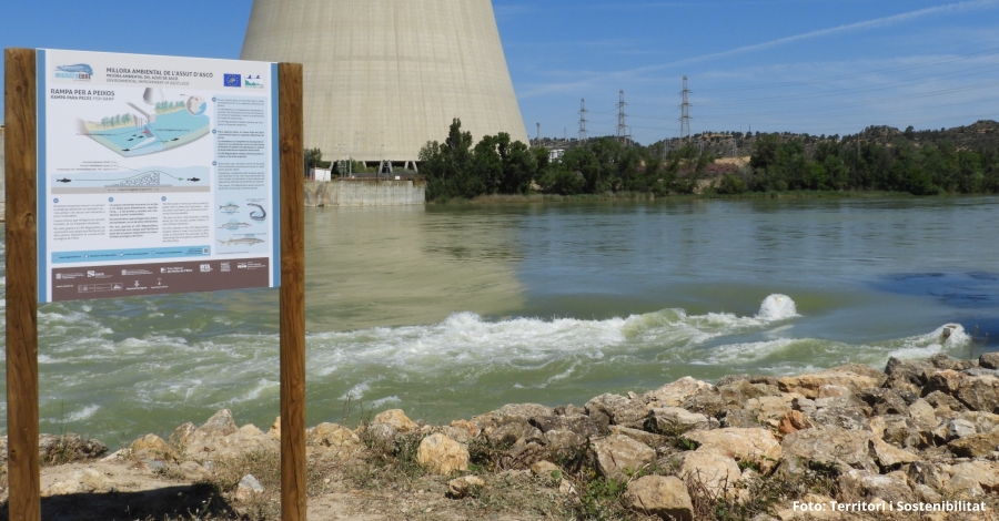 Construeixen la rampa per a peixos m�s gran de Catalunya a Asc� | EbreActiu.cat, revista digital d&rsquo;oci actiu | Terres de l&rsquo;Ebre ...
