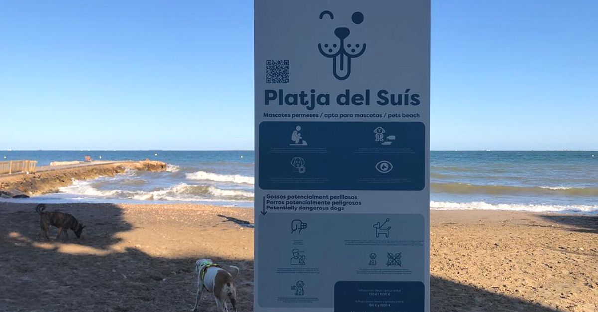 La Rpita habilita una platja de gossos aquest estiu