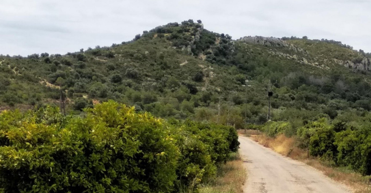 LAjuntament dAmposta i la URV collaboren en la recerca arqueolgica del jaciment de lAntic