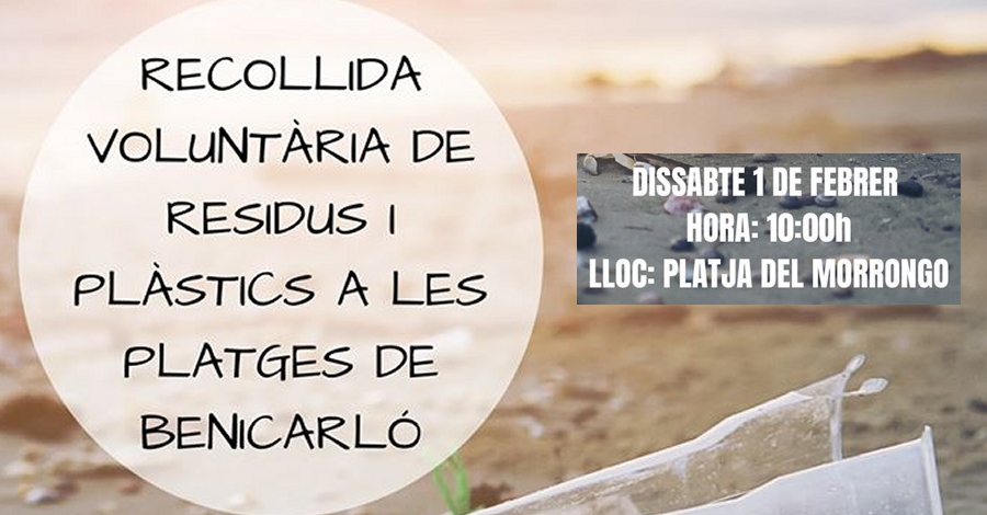 Recogida voluntaria de residuos y pl�sticos en las playas de Benicarl�