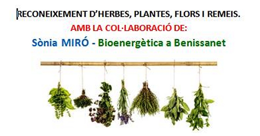 Reconeixement d�herbes, plantes, flors i remeis