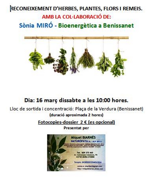 Reconeixement d’herbes, plantes, flors i remeis Reconeixement d’herbes, plantes, flors i remeis