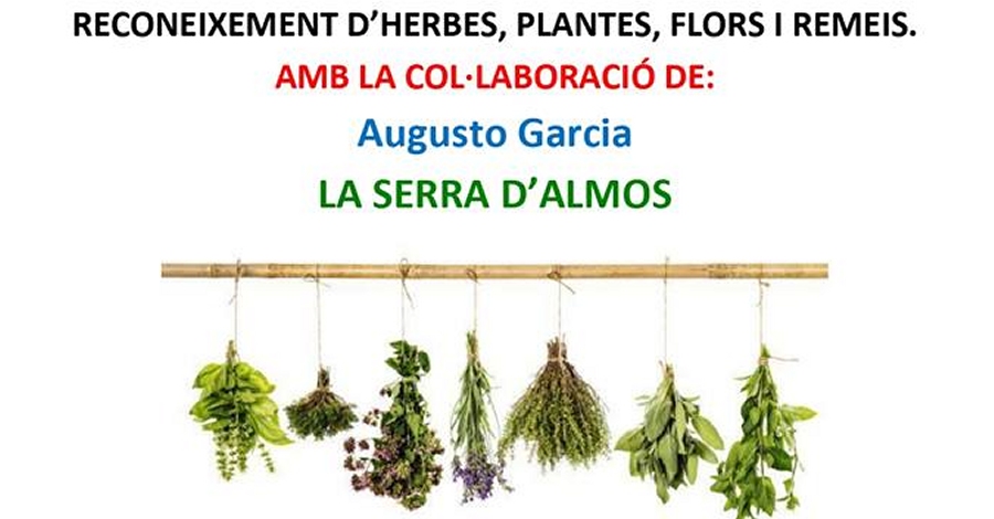Reconeixement d�herbes, plantes, flors i remeis a la Serra d&rsquo;Almos