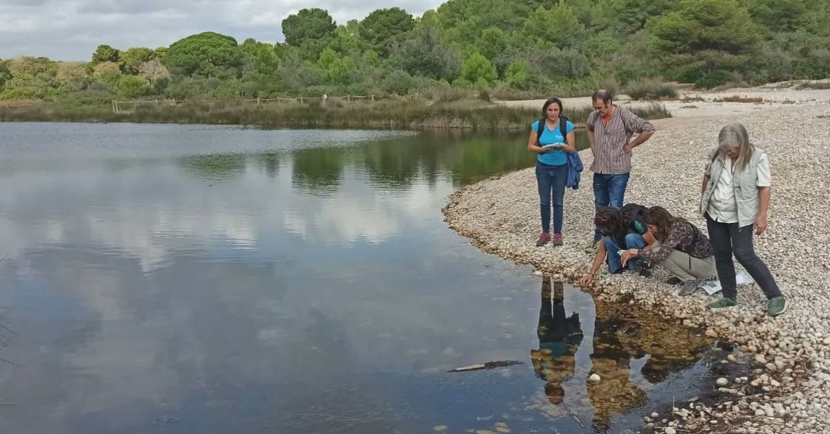 Recta final del projecte de restauraci fluvial i custdia al Barranc de Santes Creus, a l’Ametlla de Mar | EbreActiu.cat, revista digital d’oci actiu | Terres de l’Ebre ...